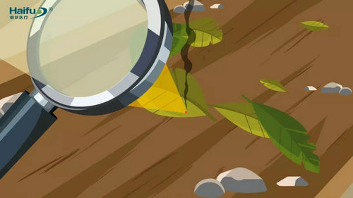 【智博會】用VR技術(shù)模擬手術(shù)場景