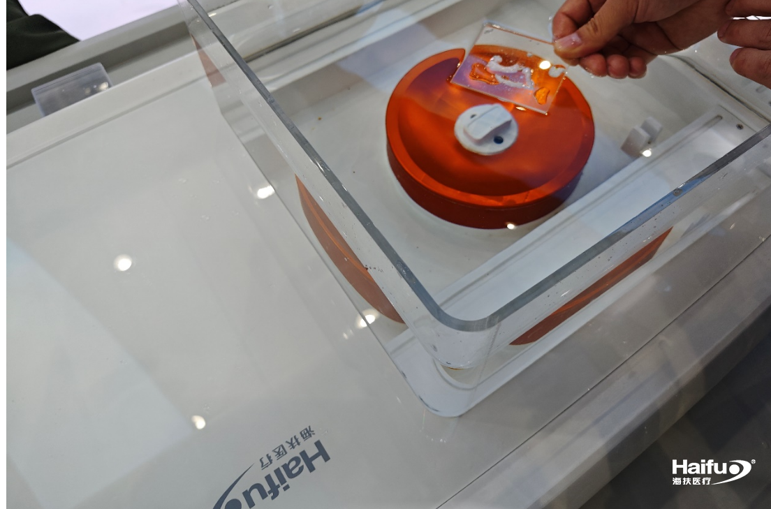 872030001712826789.png 872030001712826789.png